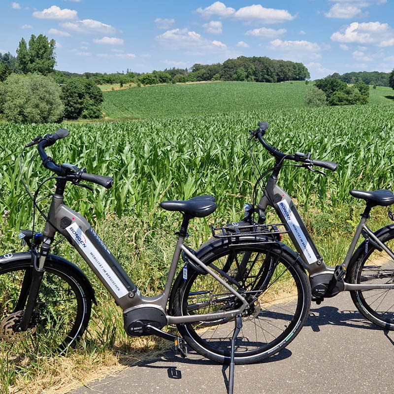 E-Bikes bei Bongen Auto & Service